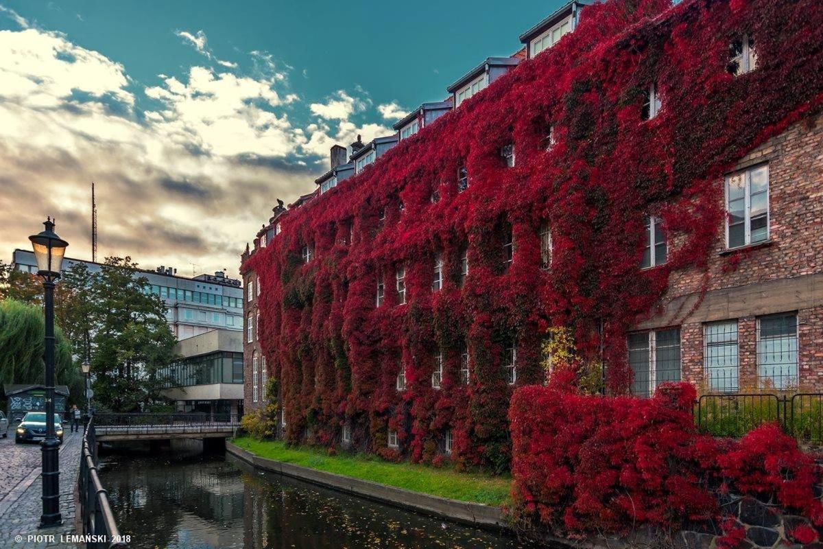 Four Seasons With Parking Place Apartmán Gdaňsk